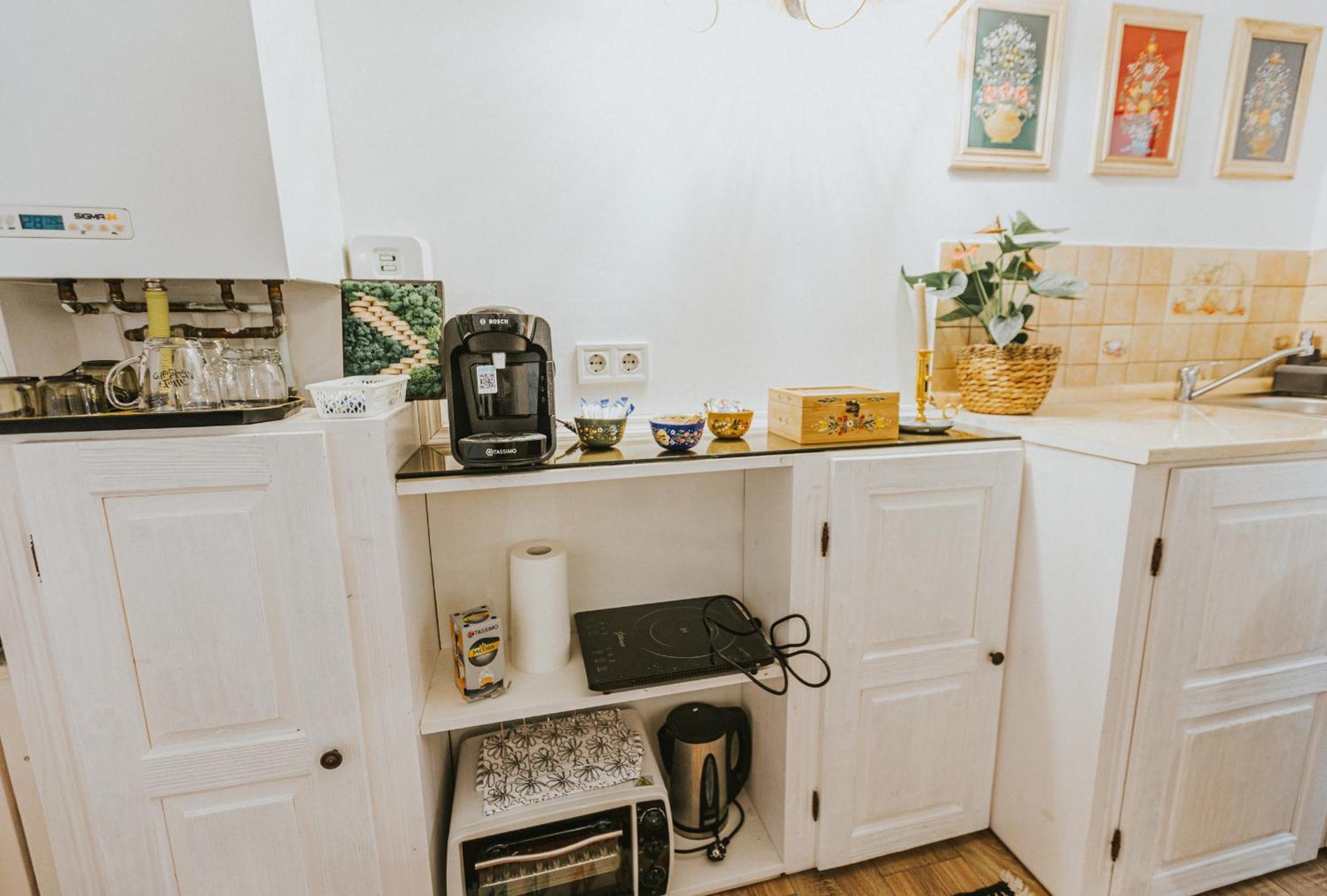 Republicii Rustic Apartament In Brasov City Center Ngoại thất bức ảnh