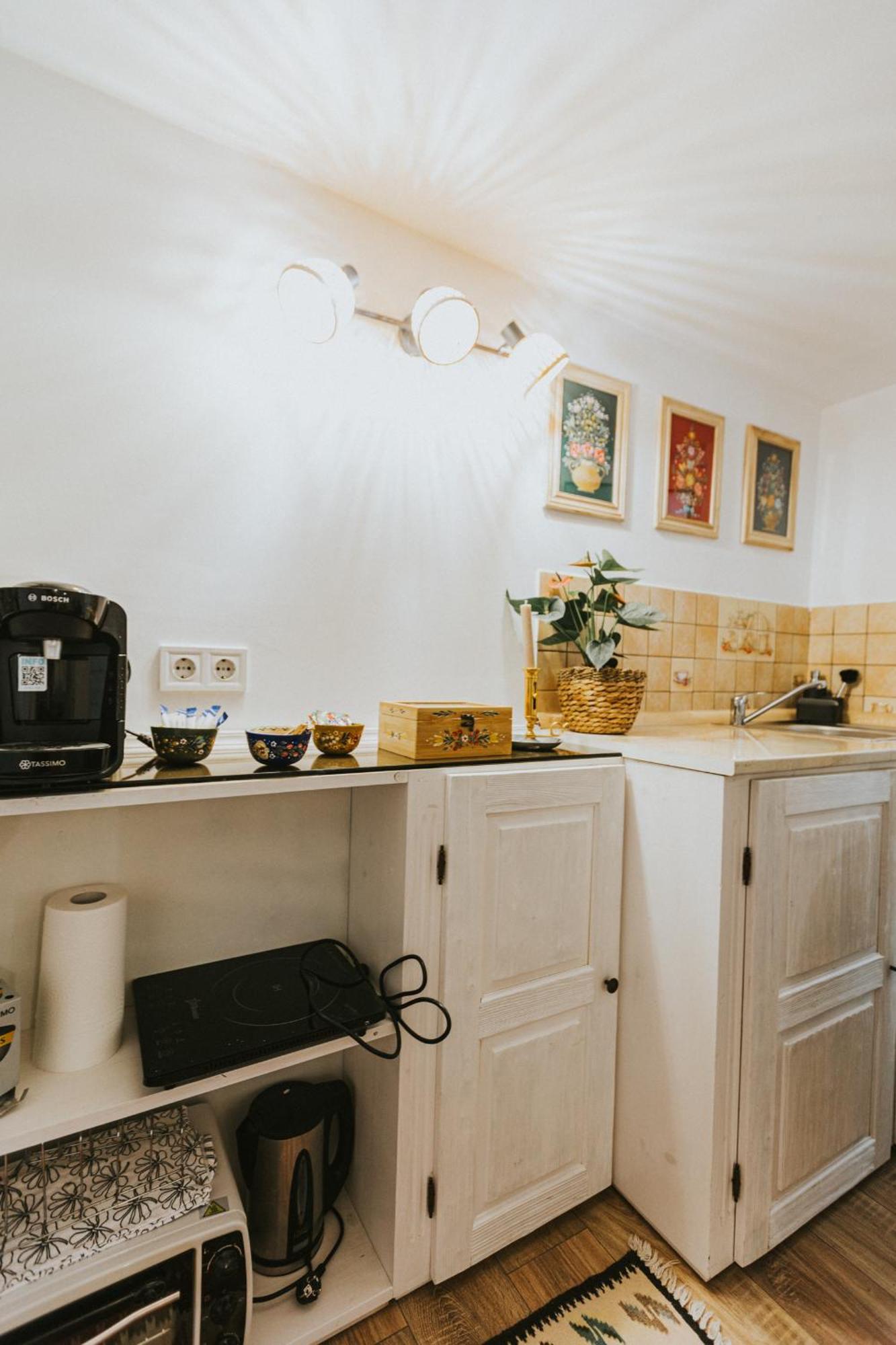 Republicii Rustic Apartament In Brasov City Center Ngoại thất bức ảnh