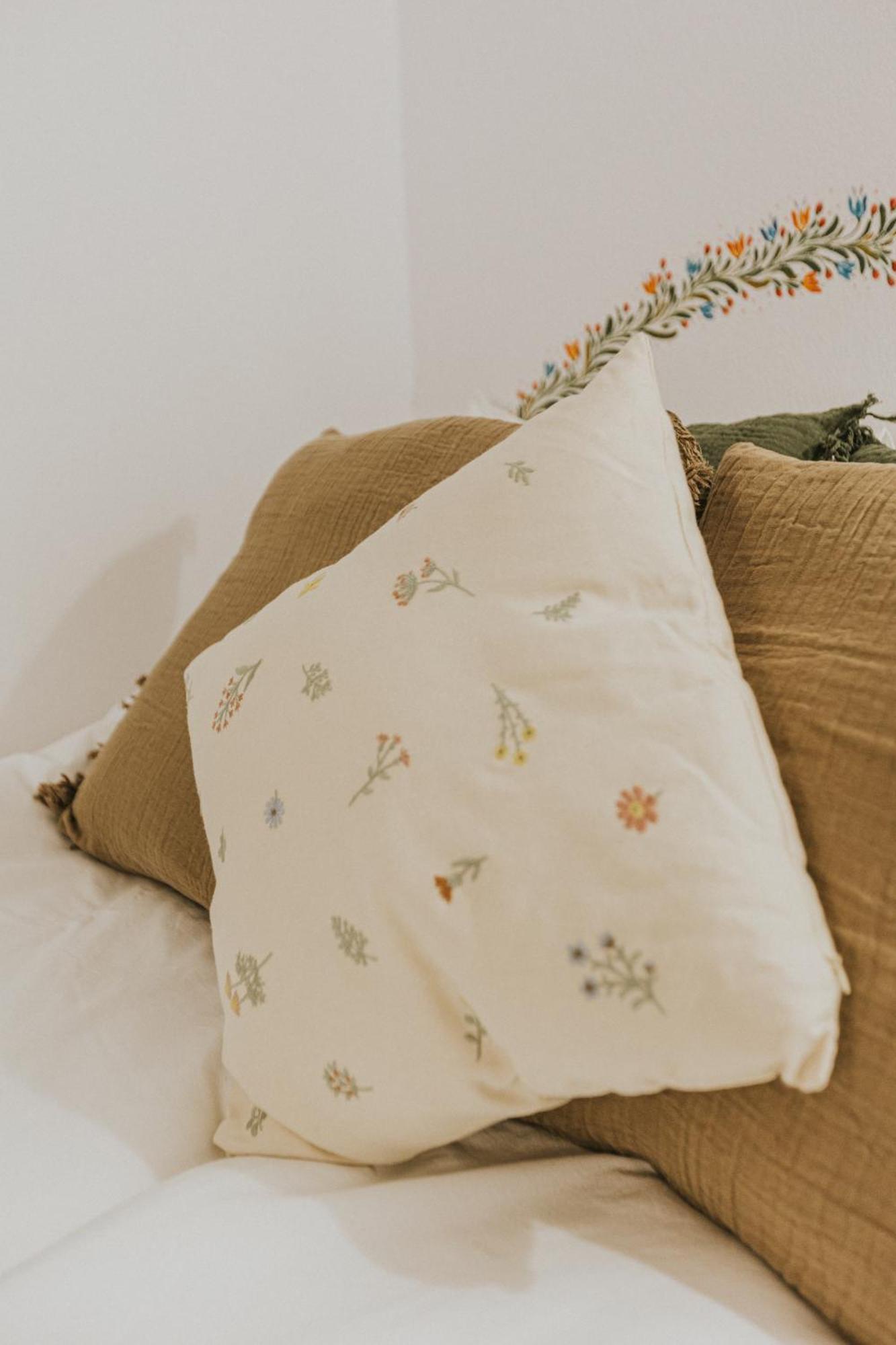Republicii Rustic Apartament In Brasov City Center Ngoại thất bức ảnh