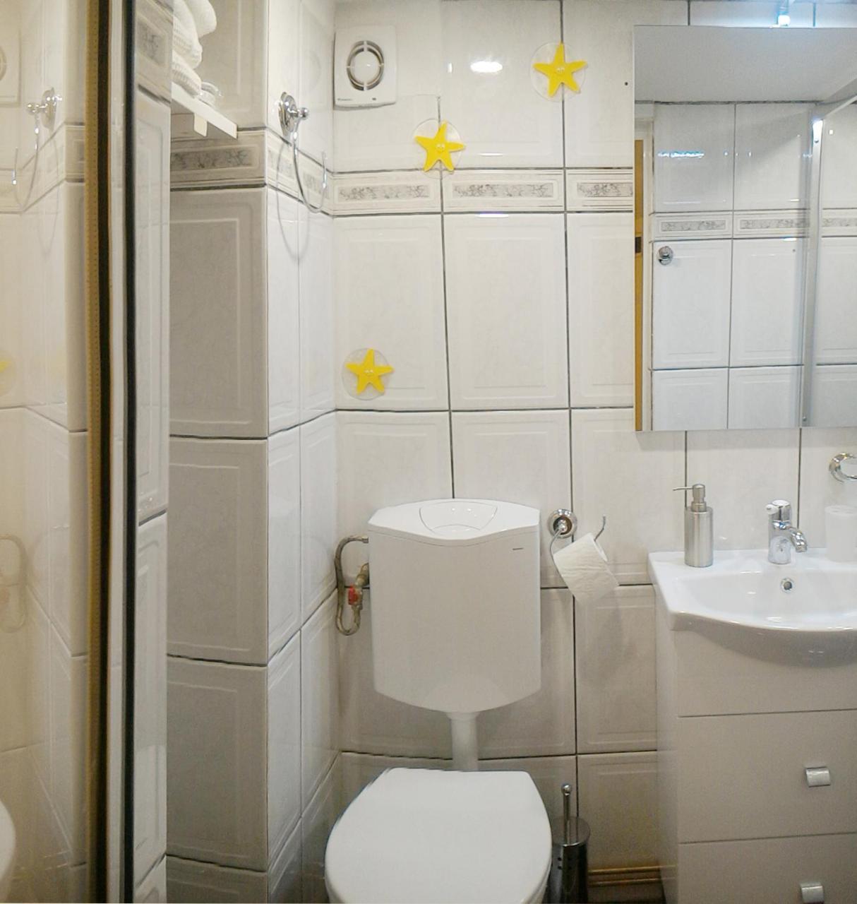 Republicii Rustic Apartament In Brasov City Center Ngoại thất bức ảnh